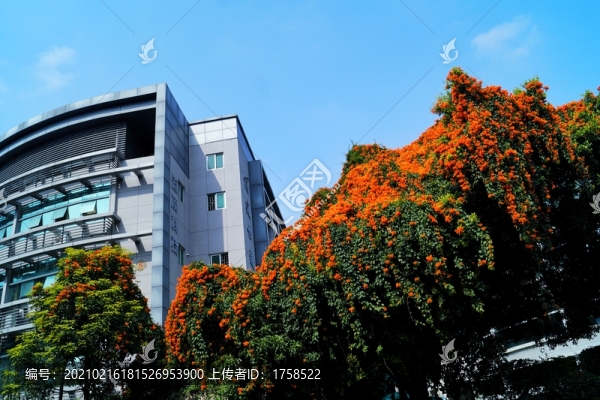福州軟件園