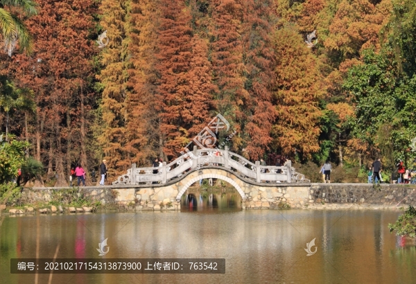 華南植物園