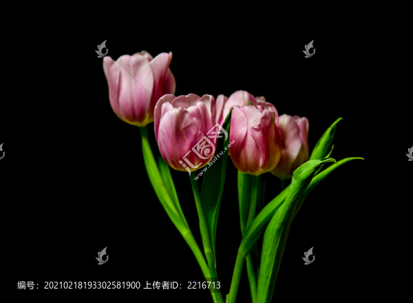 插花藝術(shù)