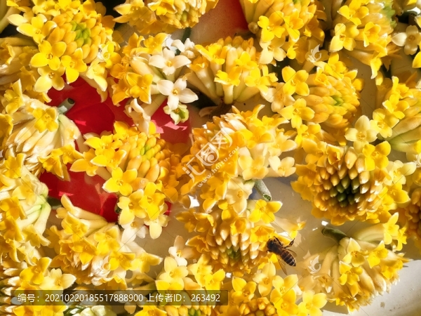 喜花