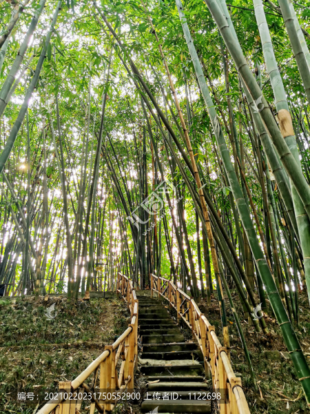 成都浣花溪公園