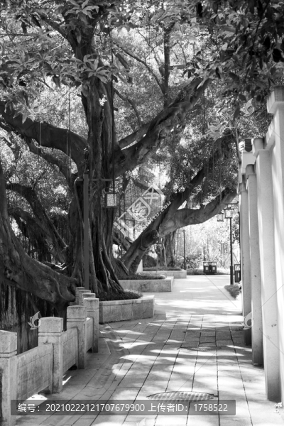 石板路