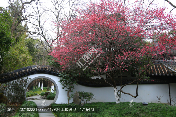 中式園林建筑