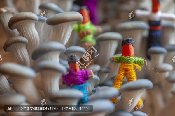 蘑菇童話世界中的迷你小人