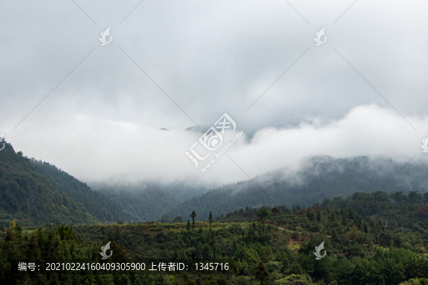 山峰森林天空