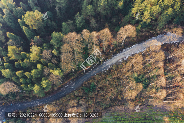 航拍湖南湘西矮寨蜿蜒的山路