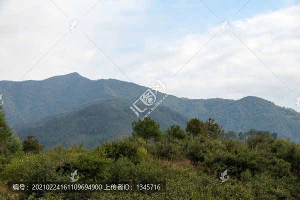 森林山峰