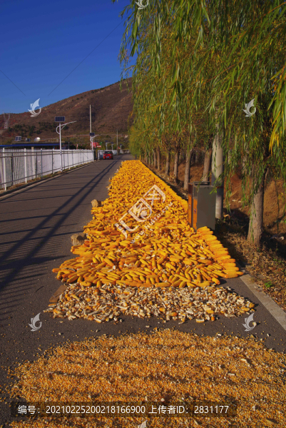 舞彩淺山濱水國家登山步道