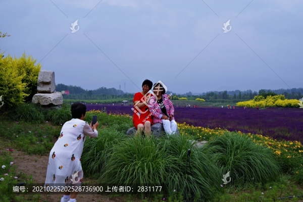 昌平七孔橋花海