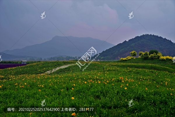 昌平七孔橋花海