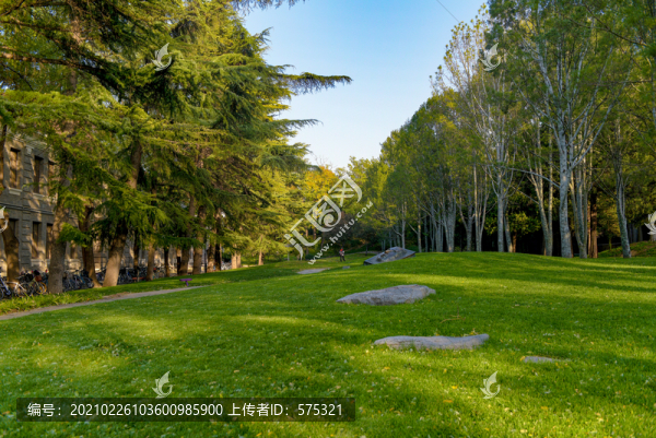 清華校園樹林草地