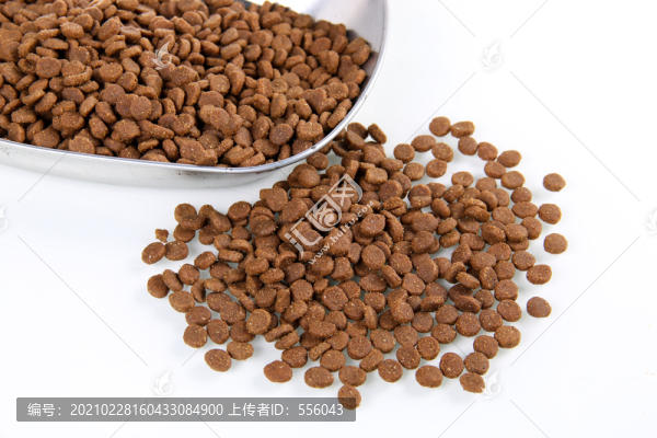 貓糧狗糧