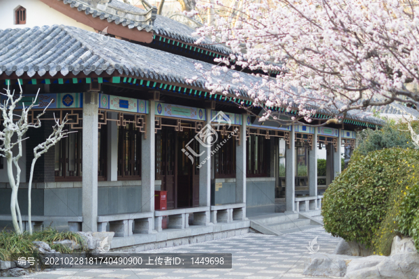 春暖花開(kāi)