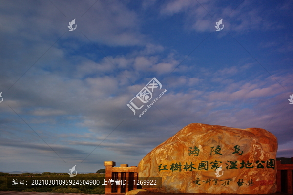 海陵島紅樹(shù)林