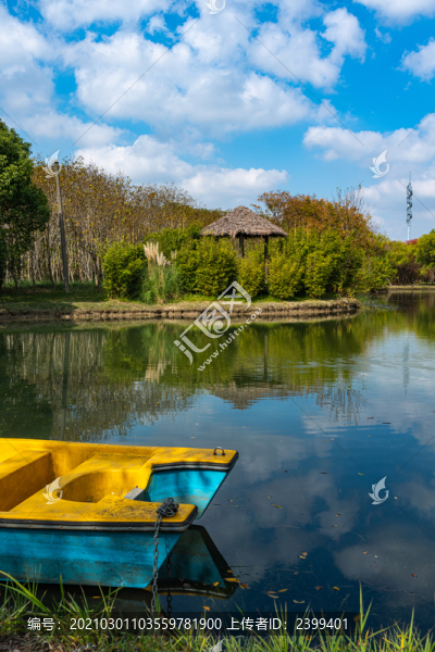 上海嘉北郊野公園的秋天