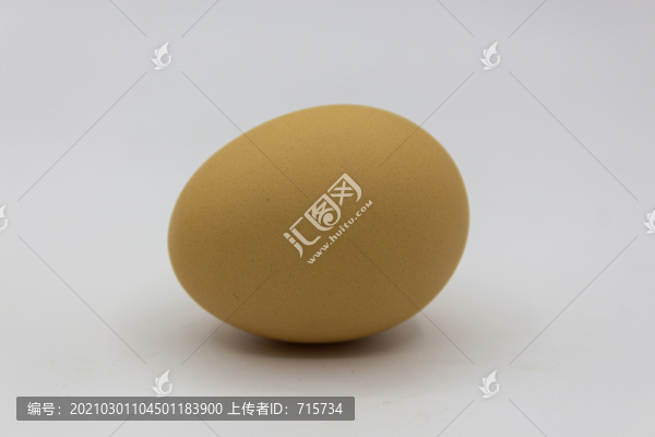 雞蛋攝影