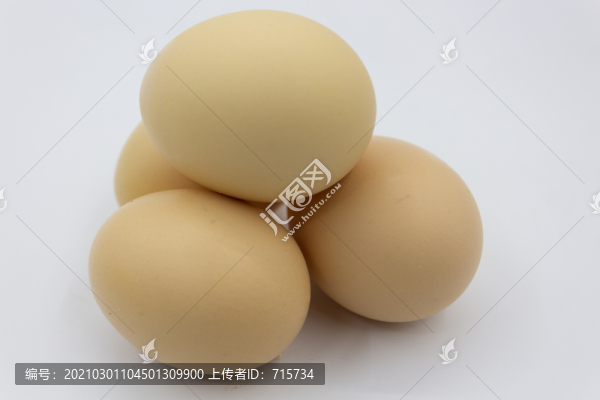 雞蛋攝影