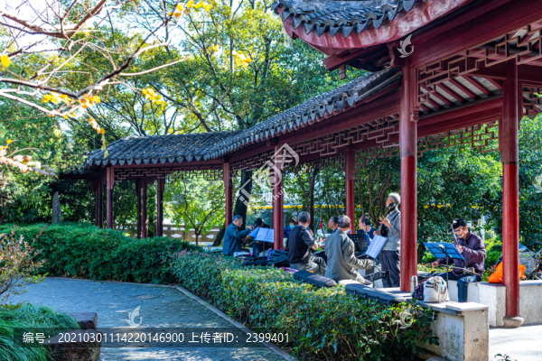 上海嘉定小河口銀杏園