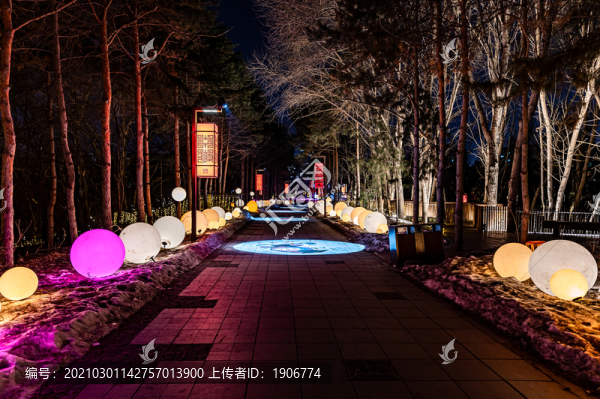 長春水文化生態(tài)園夜晚美景