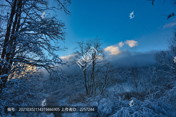 山區(qū)雪景