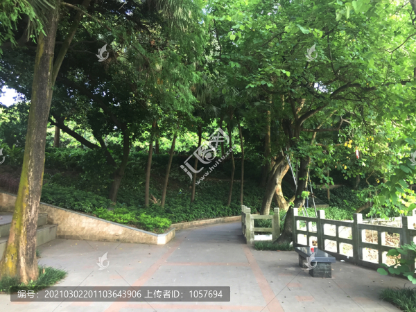 新會(huì)玉湖景區(qū)