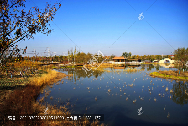 張家灣公園