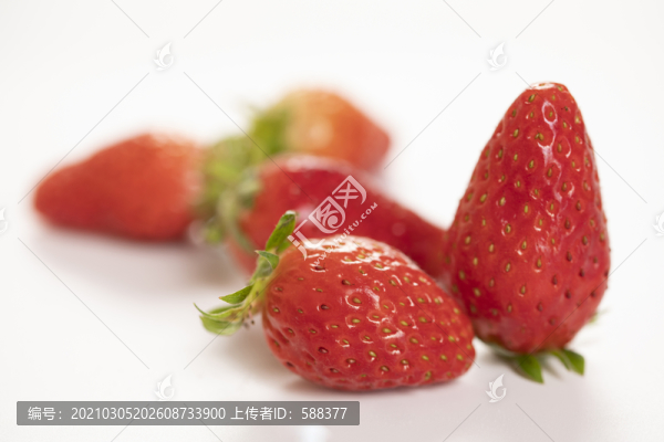 草莓