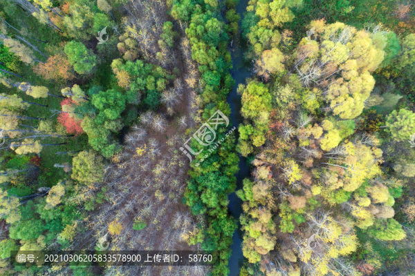 航拍大興安嶺樹林山溪秋色