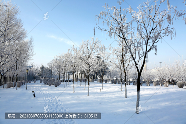 冬季霧凇美景
