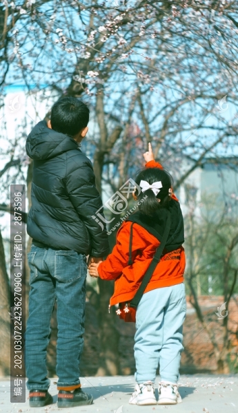 兄妹