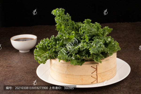 羽衣甘藍(lán)