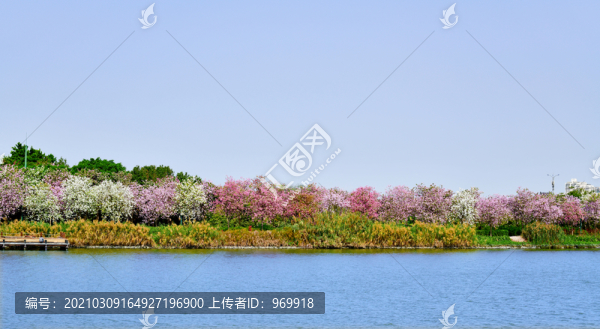 海珠濕地公園