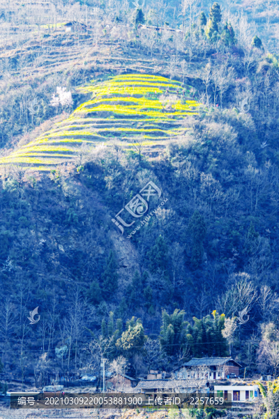 早春的小山村