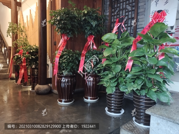 開業(yè)花籃