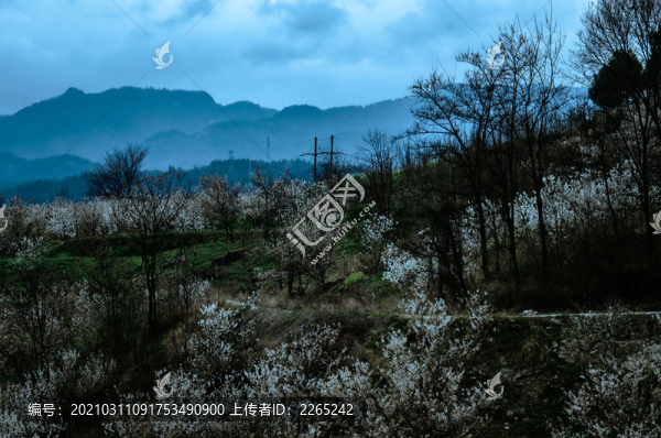 八里村風(fēng)光