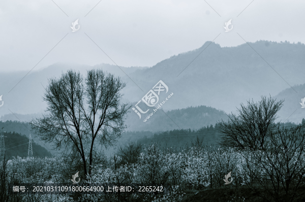 八里村風(fēng)光