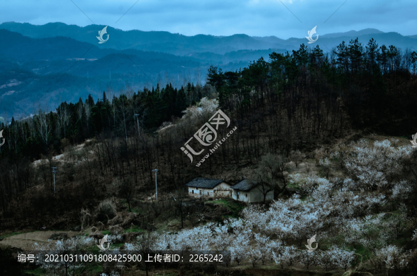 八里村風(fēng)光