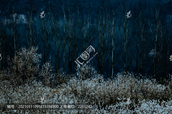八里旺景色