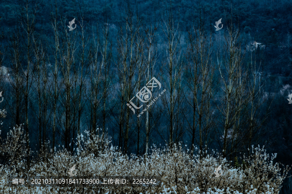 八里旺景色