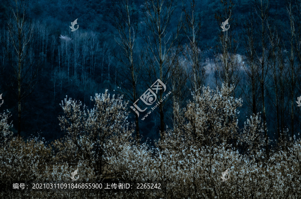 八里旺景色