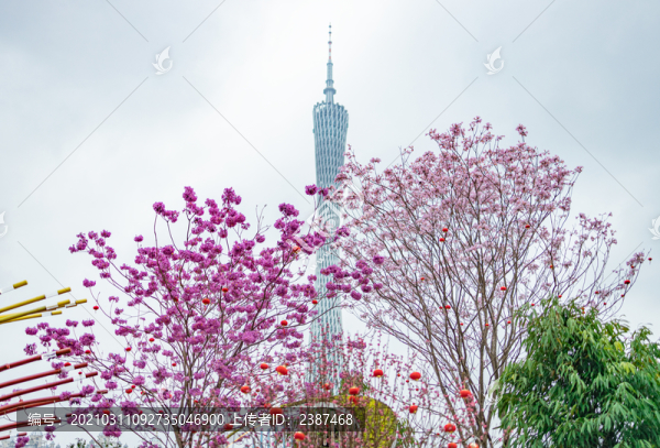 第28屆廣州園林博覽會與廣州塔