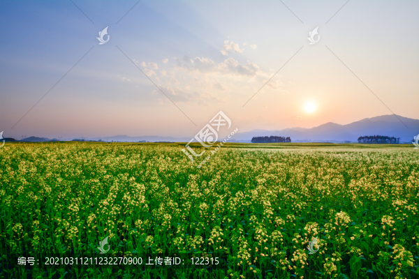 花田日出