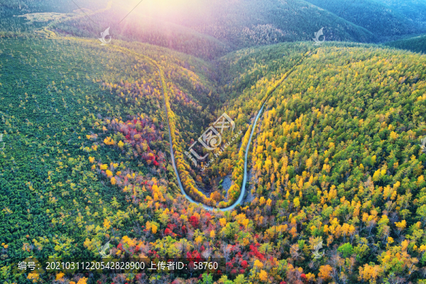 大興安嶺秋季彩林山路
