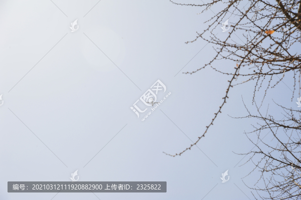 北京大學(xué)