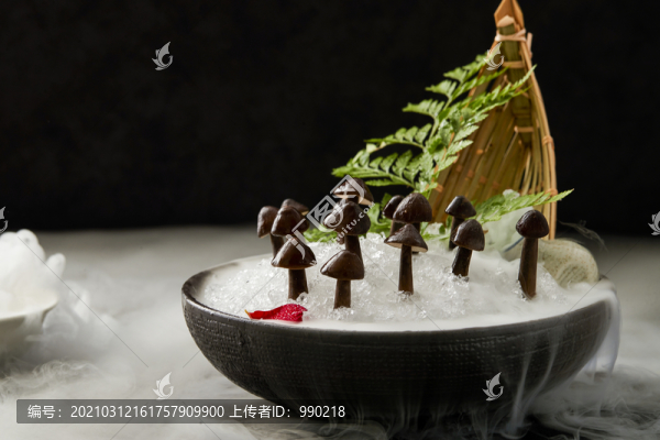 雞樅菌