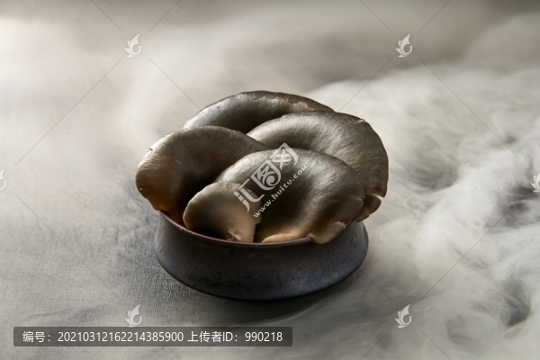 平菇