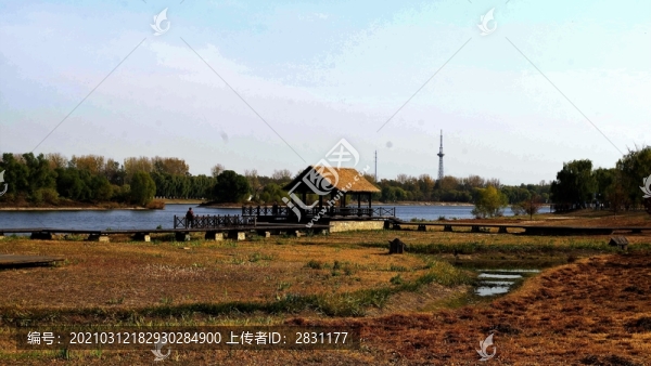 大運(yùn)河通州森林公園