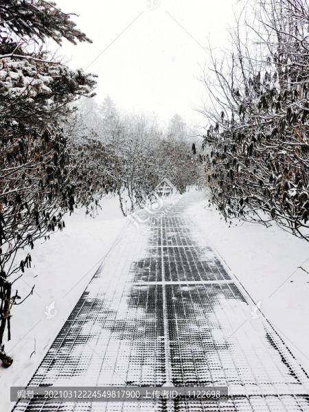 雪景