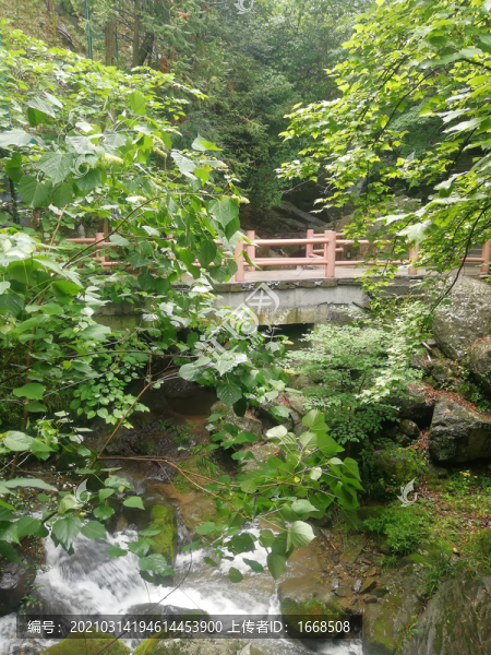 橋
