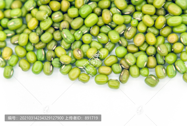 綠豆特寫